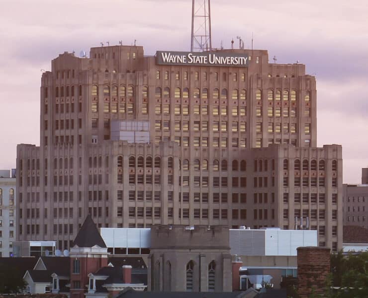 Bridget Graham Wayne State University